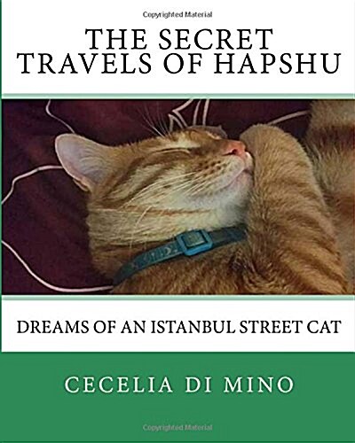 The Secret Travels of Hapshu: Dreams of an Istanbul Street Cat (Paperback)