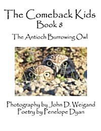 The Comeback Kids, Book 8, the Antioch Burrowing Owl (Paperback)
