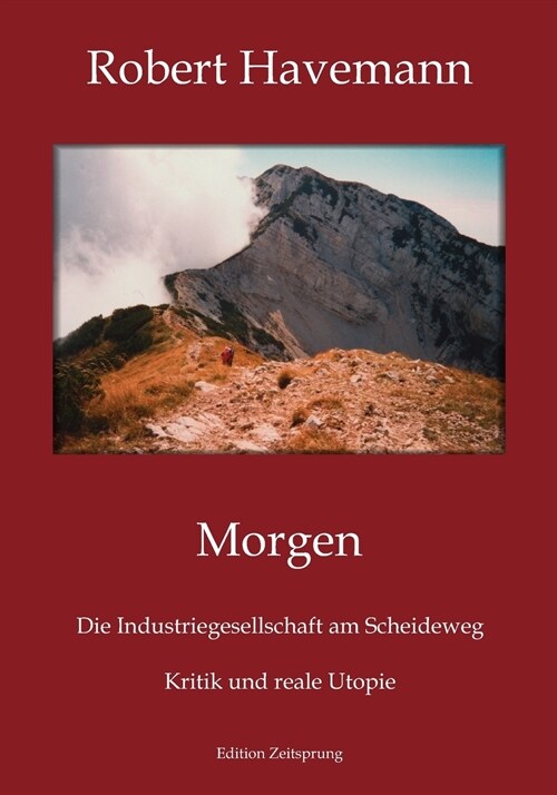 Morgen: Die Industriegesellschaft am Scheideweg. Kritik und reale Utopie (Paperback)