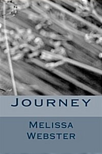 Journey (Paperback)