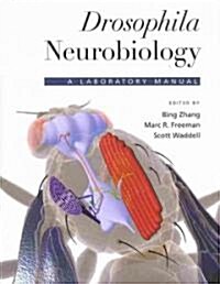 Drosophila Neurobiology: A Laboratory Manual (Paperback)