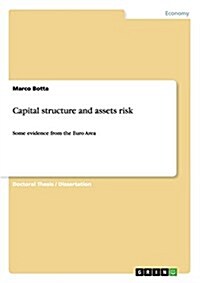 Capital structure and assets risk: Some evidence from the Euro Area (Paperback)