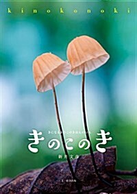 きのこのき きになるきのこのきほんのほん (單行本)