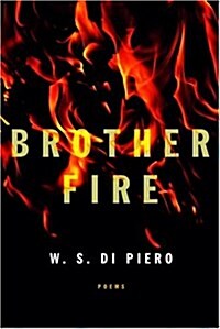 Brother Fire (Hardcover)