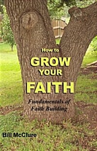 How to Grow Your Faith: Fundamentals of Faith Building (Paperback)