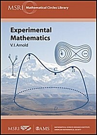 Experimental Mathematics (Paperback)