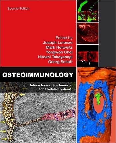 Osteoimmunology: Interactions of the Immune and Skeletal Systems (Hardcover, 2, Revised)