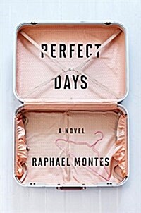 Perfect Days (Hardcover)