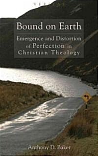 Diagonal Advance : Perfection in Christian Theology (Paperback)