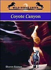 Coyote Canyon (Paperback)