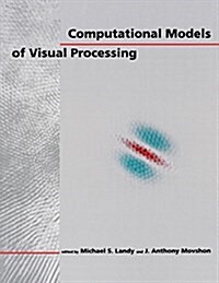 Computational Models of Visual Processing (Paperback)