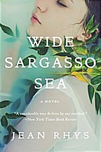 Wide Sargasso Sea (Paperback)