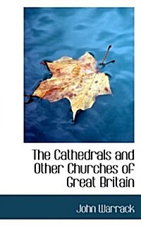 The Cathedrals and Other Churches of Great Britain (Paperback)