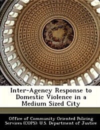 Inter-Agency Response to Domestic Violence in a Medium Sized City (Paperback)