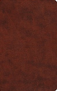 Large Print Value Thinline Bible-ESV (Imitation Leather)