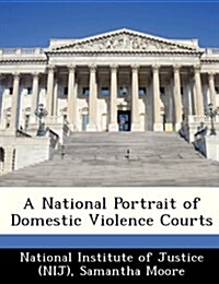 A National Portrait of Domestic Violence Courts (Paperback)