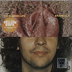 [수입] The Flaming Lips - Brainville [Limited 10 LP]