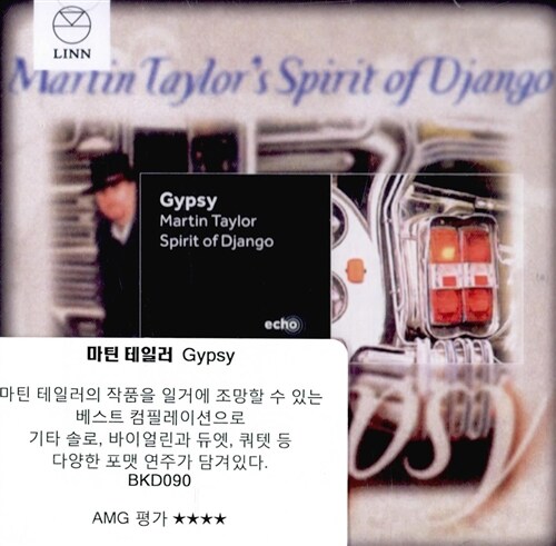 [수입] Martin Taylor - Gypsy