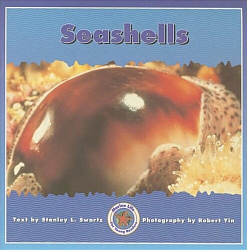 Seashells (Paperback)