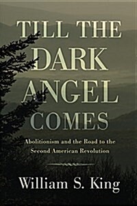 Till the Dark Angel Comes: Abolitionism and the Road to the Second American Revolution (Hardcover)