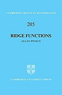Ridge Functions (Hardcover)
