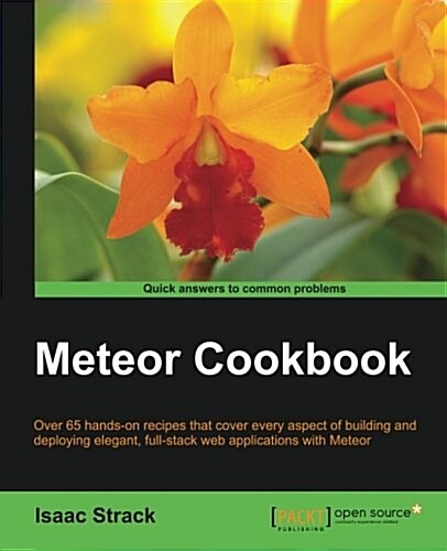 Meteor Cookbook (Paperback, ed)