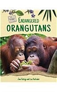 Endangered Orangutans (Paperback)