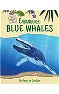 Endangered Blue Whales (Paperback)