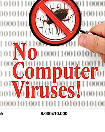 No Computer Viruses: N O Anti-Virus Software Needed (Paperback)