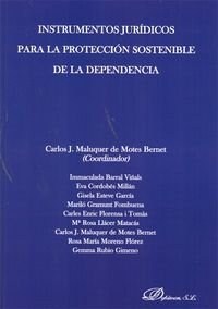 Instrumentos Juridicos Para La Proteccion Sostenible de La Dependencia (Paperback)