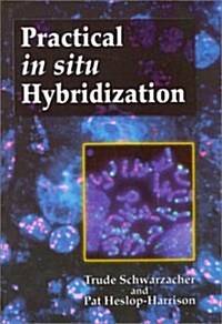 Practical in Situ Hybridization (Paperback, 1)