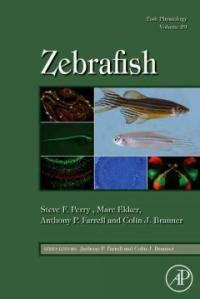 Zebrafish