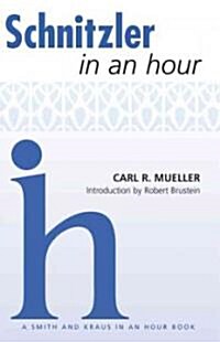 Schnitzler in an Hour (Paperback)