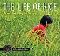 The Life of Rice: From Seedling to Supper (Hardcover)