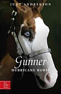 Gunner: Hurricane Horse (Paperback)