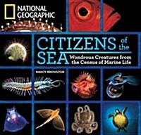 [중고] Citizens of the Sea: Wondrous Creatures from the Census of Marine Life (Hardcover)