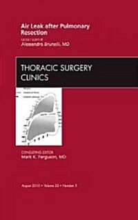 Air Leak after Pulmonary Resection, An Issue of Thoracic Surgery Clinics (Hardcover)