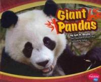 Giant Pandas (Paperback)