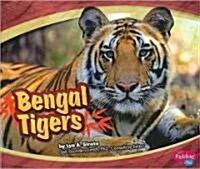 Bengal Tigers (Paperback)