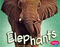 Elephants (Paperback)