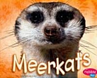 Meerkats (Paperback)