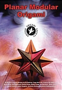 Planar Modular Origami (Paperback)