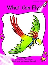 What Can Fly? (Paperback)