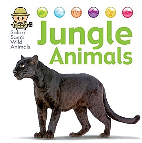 Safari Sams Wild Animals: Jungle Animals (Hardcover, Illustrated ed)