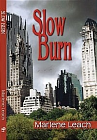 Slow Burn (Paperback)