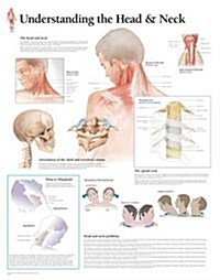 Understanding the Head & Neck Wall Chart (Other)