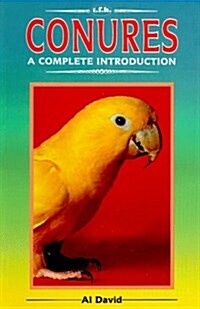 Conures: A Complete Introduction (Paperback)