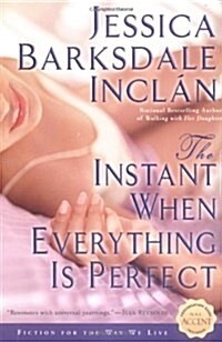The Instant When Everything is Perfect (Paperback)