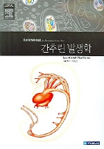 간추린 발생학