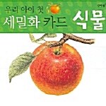 우리아이 첫 세밀화 카드 : 식물